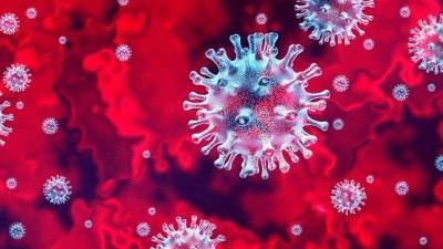Названы основные симптомы «лямбда»-штамма коронавируса - 5-tv.ru - Англия - Аргентина - Эквадор - Чили