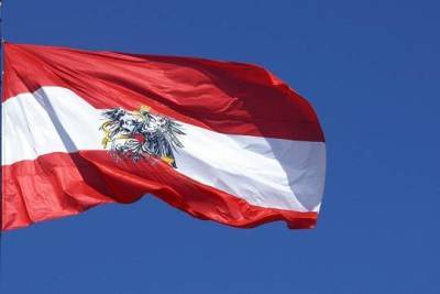 Александер Шалленберг - Глава МИД Австрии оценил перспективы по одобрению «Спутника V» - versia.ru - Австрия
