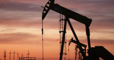 Цена на нефть падает на фоне новой вспышки короновируса - dsnews.ua