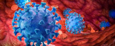 Американские ученые выявили у коронавируса способность заражать по-новому - runews24.ru - Сша - Вашингтон