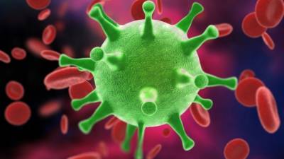 Пугающий сюрприз: в США нашли новый способ инфицирования коронавирусом - 5-tv.ru - Сша - Вашингтон