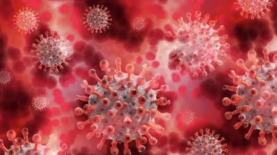 Ученые узнали о новом способе заражения коронавирусом - newdaynews.ru - Вашингтон