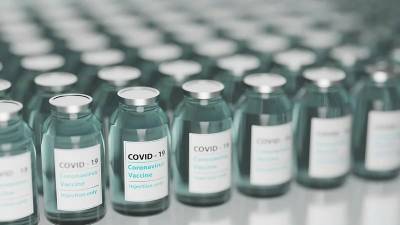 В России может появиться ещё одна вакцина от COVID-19 - bash.news - Россия