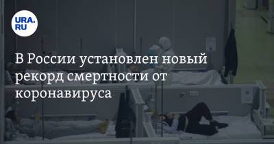 В России установлен новый рекорд смертности от коронавируса - ura.news - Россия