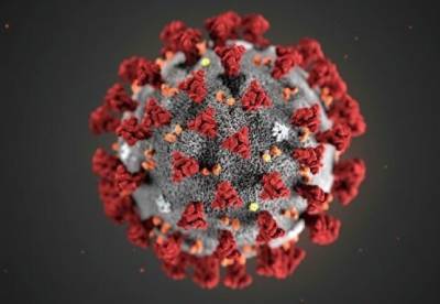 Ученые нашли альтернативный путь проникновения коронавируса в организм - facenews.ua - Украина - Вашингтон