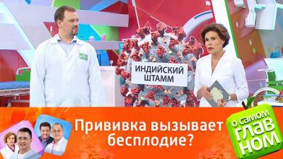 О самом главном. Врачи опровергли популярный миф о прививке от коронавируса - vesti.ru - Россия