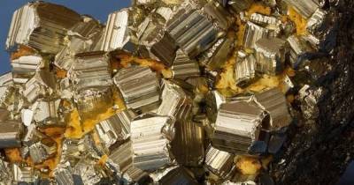 В “золоте дураков” ученые обнаружили вид настоящего золота - focus.ua - Украина - Австралия