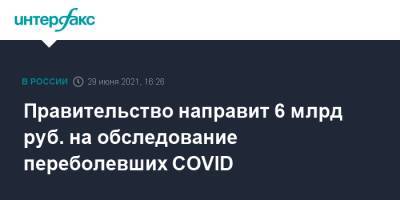 Михаил Мишустин - Правительство направит 6 млрд руб. на обследование переболевших COVID - interfax.ru - Москва