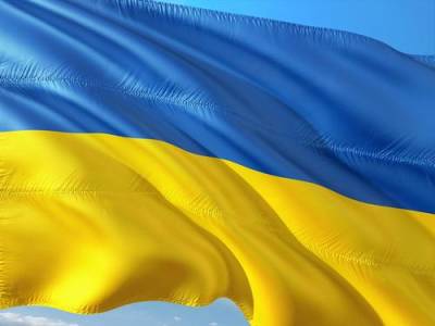 Научный сотрудник Карпентер заявил, что Украина не дотягивает до уровня союзника США - argumenti.ru - Украина - Сша - Киев - Вашингтон