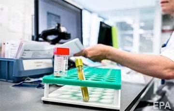 Исследование: Мутация коронавируса у норок в Дании может повлиять на эффективность вакцин - charter97.org - Белоруссия - Дания - county Frontier