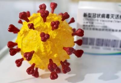 Ученые нашли эпидемию коронавируса 20 тысяч лет назад - facenews.ua - Украина