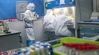 В США поставили под сомнение лабораторную версию происхождения коронавируса - eadaily.com - Президент