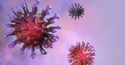 Из-за пандемии COVID-19 возможно полностью исчезли два типа вируса гриппа, - ученые - focus.ua