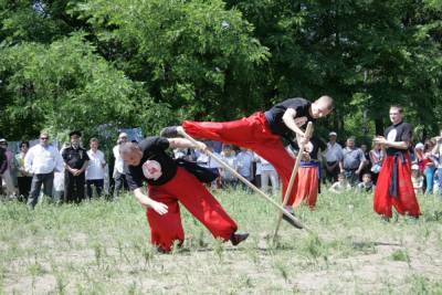 Создание школы боевых искусств на Хортице: в ОГА не поддержали инициативу - inform.zp.ua
