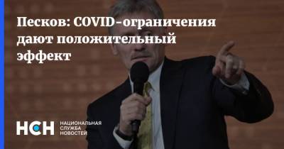 Владимир Путин - Дмитрий Песков - Песков: COVID-ограничения дают положительный эффект - nsn.fm - Россия