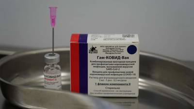 Владимир Путин - Путин оценил эффективность вакцин от коронавируса - iz.ru - Россия - Израиль