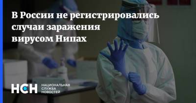 В России не регистрировались случаи заражения вирусом Нипах - nsn.fm - Россия - Индия