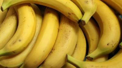 Владимир Путин - Владимир Путин объяснил, почему картошка стоит дороже бананов - penzainform.ru - Россия - Эквадор