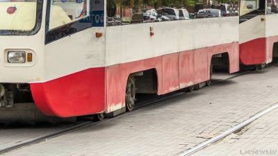 В Челябинске на трамвай рухнуло дерево - newdaynews.ru - Челябинск - район Ленинский, Челябинск