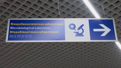 ПЦР-тест по технологии SmartAmp – с 1 июля в аэропорту - belarus24.by - Белоруссия - Минск