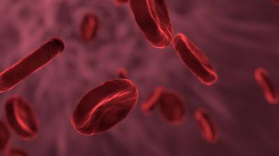 COVID-19 вызывает долгосрочные изменения в крови пациентов - vesti.ru