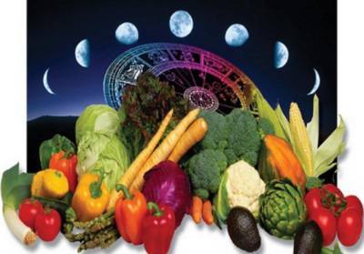 Самый подробный лунный посевной календарь на июль 2021 года с фазами луны по дням в июле для садовода и огородника - yur-gazeta.ru - Московская обл.