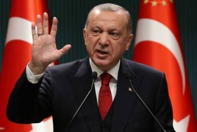 Владимир Канторович - В АТОР не исключили, что Турция закроет границы для России - newsland.com - Россия - Турция