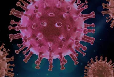 Джордж Мейсон Анч - Биолог описала природу индийского штамма коронавируса - online47.ru