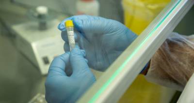 Коронавирус в Армении: данные на 4 июня - ru.armeniasputnik.am - Армения