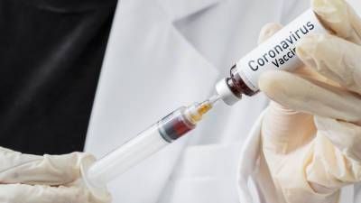 Виктор Трухин - Петербургскую вакцину против коронавируса предварительно назвали «Аврора» - gazeta.ru