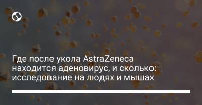 Где после укола AstraZeneca находится аденовирус, и сколько: исследование на людях и мышах - liga.net