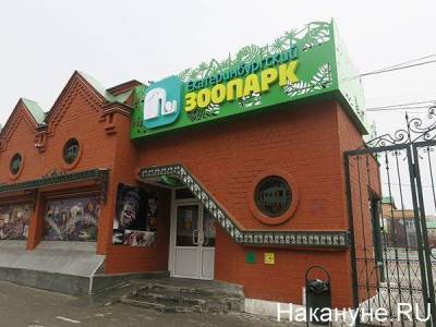 Зоопарк Екатеринбурга открывает пункт вакцинации от COVID-19 - skuke.net - Екатеринбург
