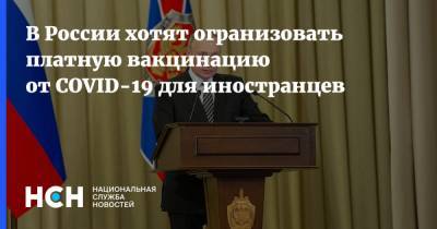 Владимир Путин - В России хотят огранизовать платную вакцинацию от COVID-19 для иностранцев - nsn.fm - Россия