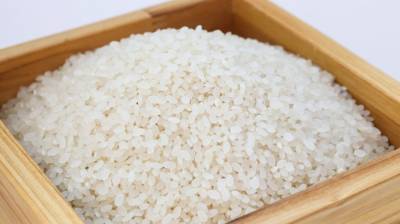 В Петербург из Индии не пустили 60 тонн риса с мертвыми насекомыми - abnews.ru - Санкт-Петербург - Таможенный Союз