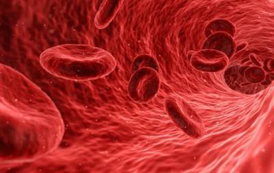 Ученые объяснили падение кислорода в крови при коронавирусе - naviny.by - Канада