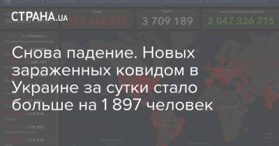 Снова падение. Новых зараженных ковидом в Украине за сутки стало больше на 1 897 человек - strana.ua