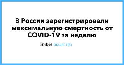 В России зарегистрировали максимальную смертность от COVID-19 за неделю - forbes.ru - Россия