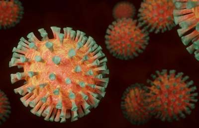 Коронавирус в Беларуси: статистика на 5 июня - ont.by