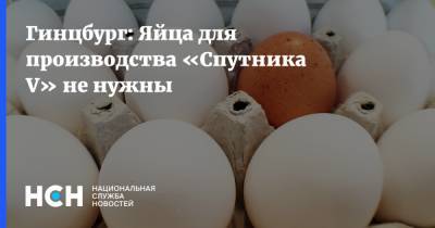 Александр Гинцбург - Гинцбург: Яйца для производства «Спутника V» не нужны - nsn.fm - Россия