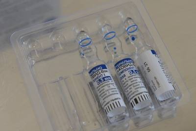Александр Гинцбург - Сергей Данкверт - Гинцбург заявил, что для производства вакцины «Спутник V» не используются яйца - vm.ru - Россия