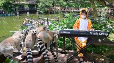 Девочка каждый день устраивает концерт для животных в Таиланде - им грустно без людей - belta.by - Минск - Таиланд