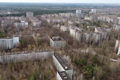 Владимир Зеленский - Зеленский предложил превратить Чернобыль в туристическую зону - lenta.ru - Президент