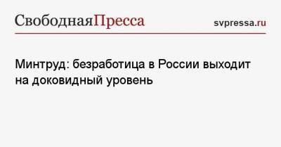 Минтруд: безработица в России выходит на доковидный уровень - svpressa.ru - Россия
