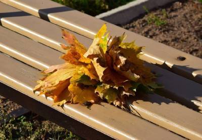 Месяц рождения может указывать на предрасположенность к заболеваниям - ufacitynews.ru - Колумбия