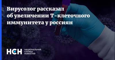 Павел Волчков - Вирусолог рассказал об увеличении T-клеточного иммунитета у россиян - nsn.fm - Россия