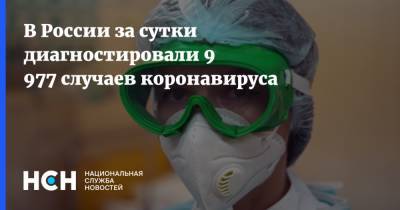 В России за сутки диагностировали 9 977 случаев коронавируса - nsn.fm - Россия