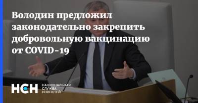 Вячеслав Володин - Владимир Володин - Володин предложил законодательно закрепить добровольную вакцинацию от COVID-19 - nsn.fm - Россия