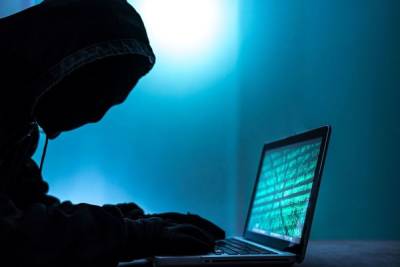В Петербурге задержали казахского хакера после кражи на миллион евро - spb.mk.ru - Санкт-Петербург - Казахстан - Австрия