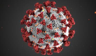 Роберт Кох - В Германии за сутки выявили более 1 000 новых случаев коронавируса - newizv.ru