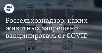 Россельхознадзор: каких животных запрещено вакцинировать от COVID - ura.news